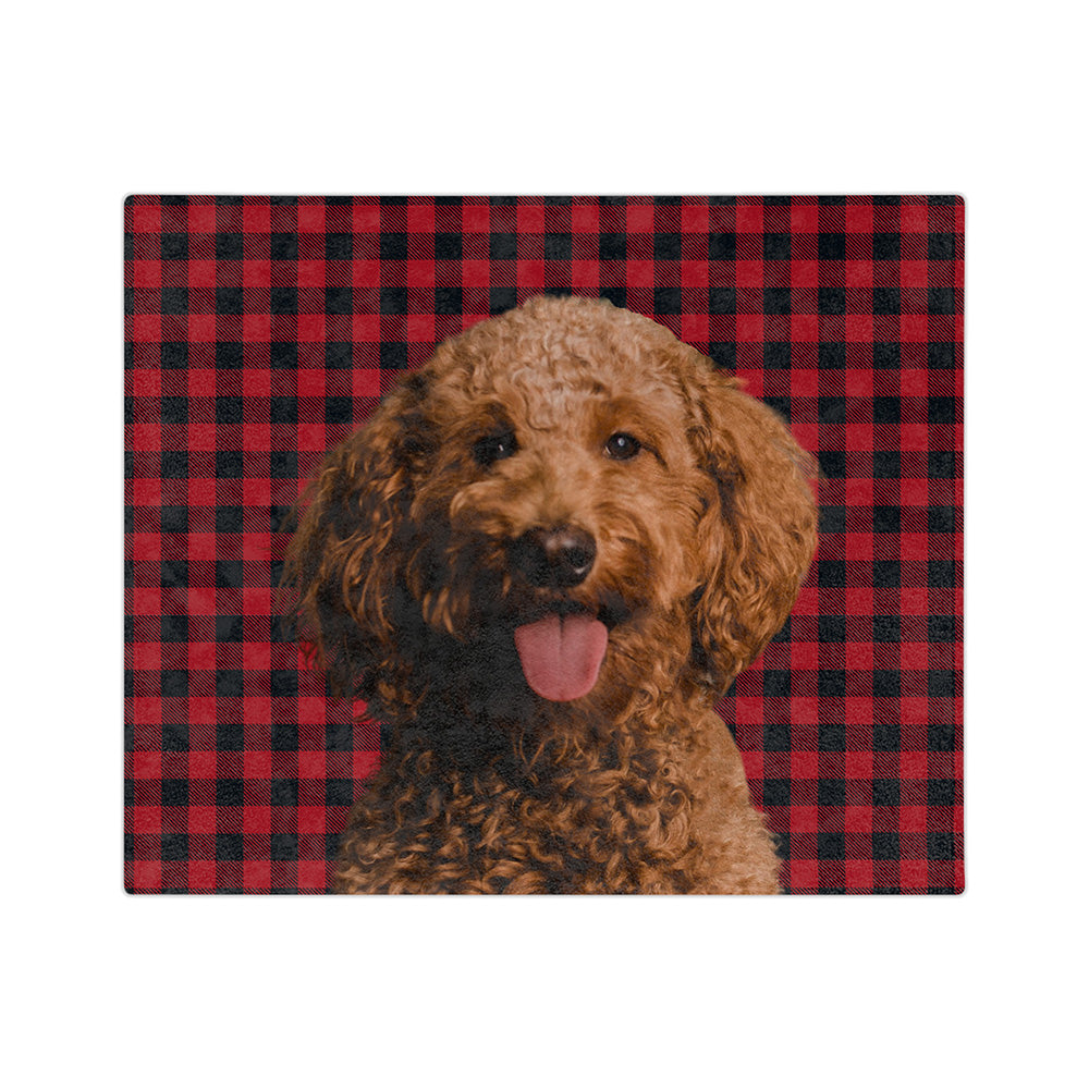 BuffaloPlaidImageCutOut