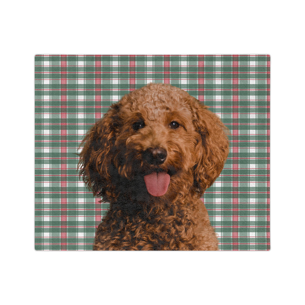 FlannelImageCutOut