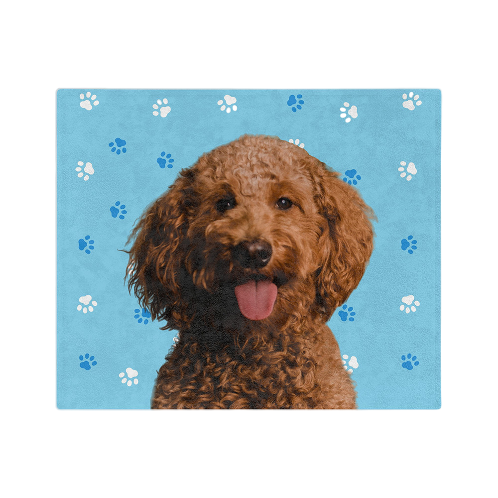 LightBluePawsImageCutOut1Pet