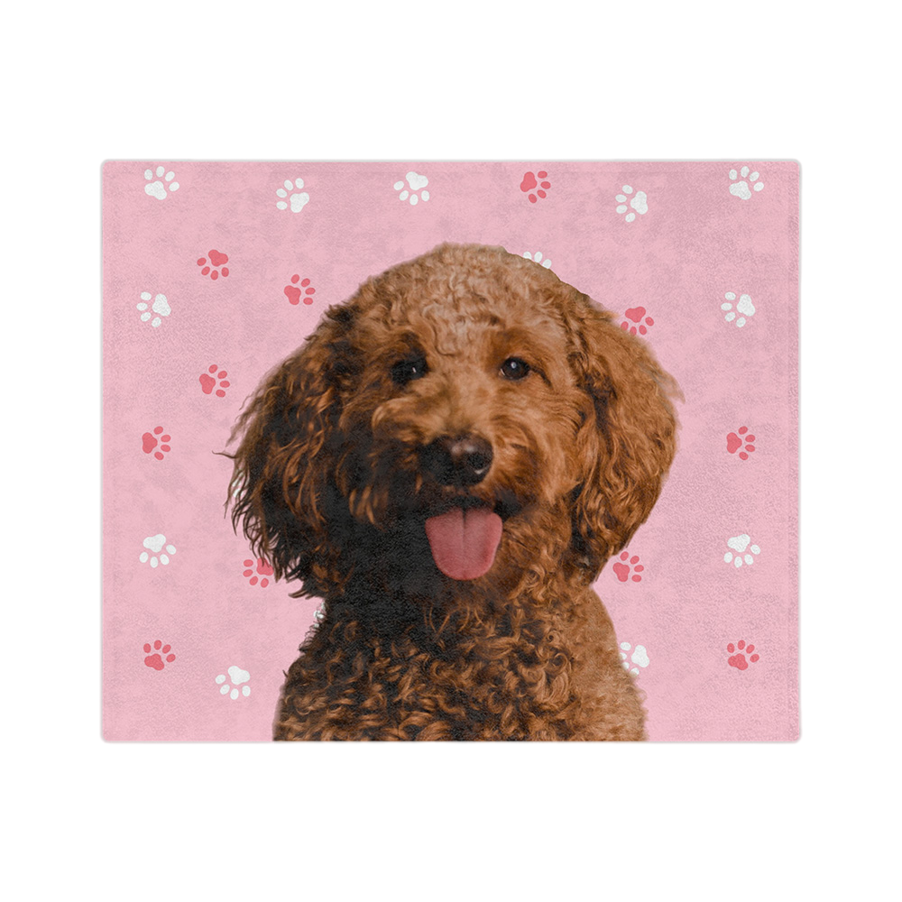 LightPinkPawsImageCutOut1Pet