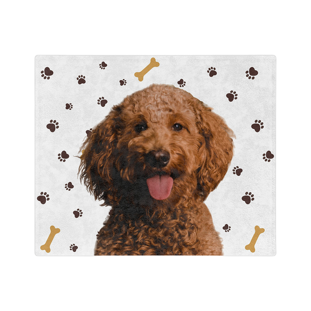 PawsandBonesImageCutOut1Pet