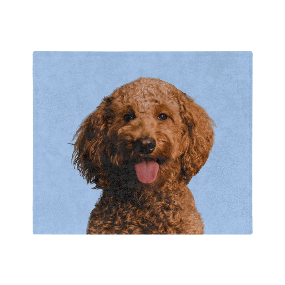 Blue blanket featuring a centered, smiling dog portrait.