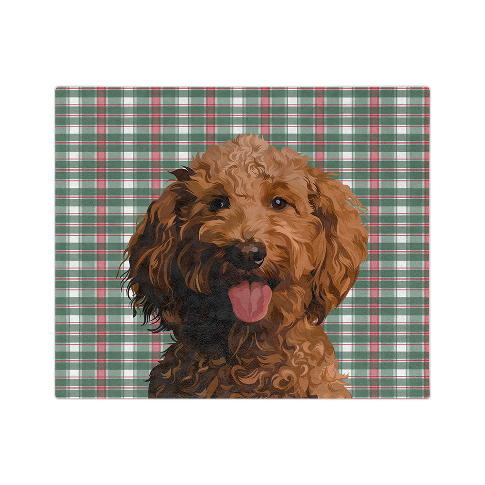 FlannelHandIllustration
