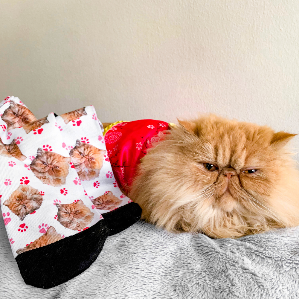 Custom Pet Socks