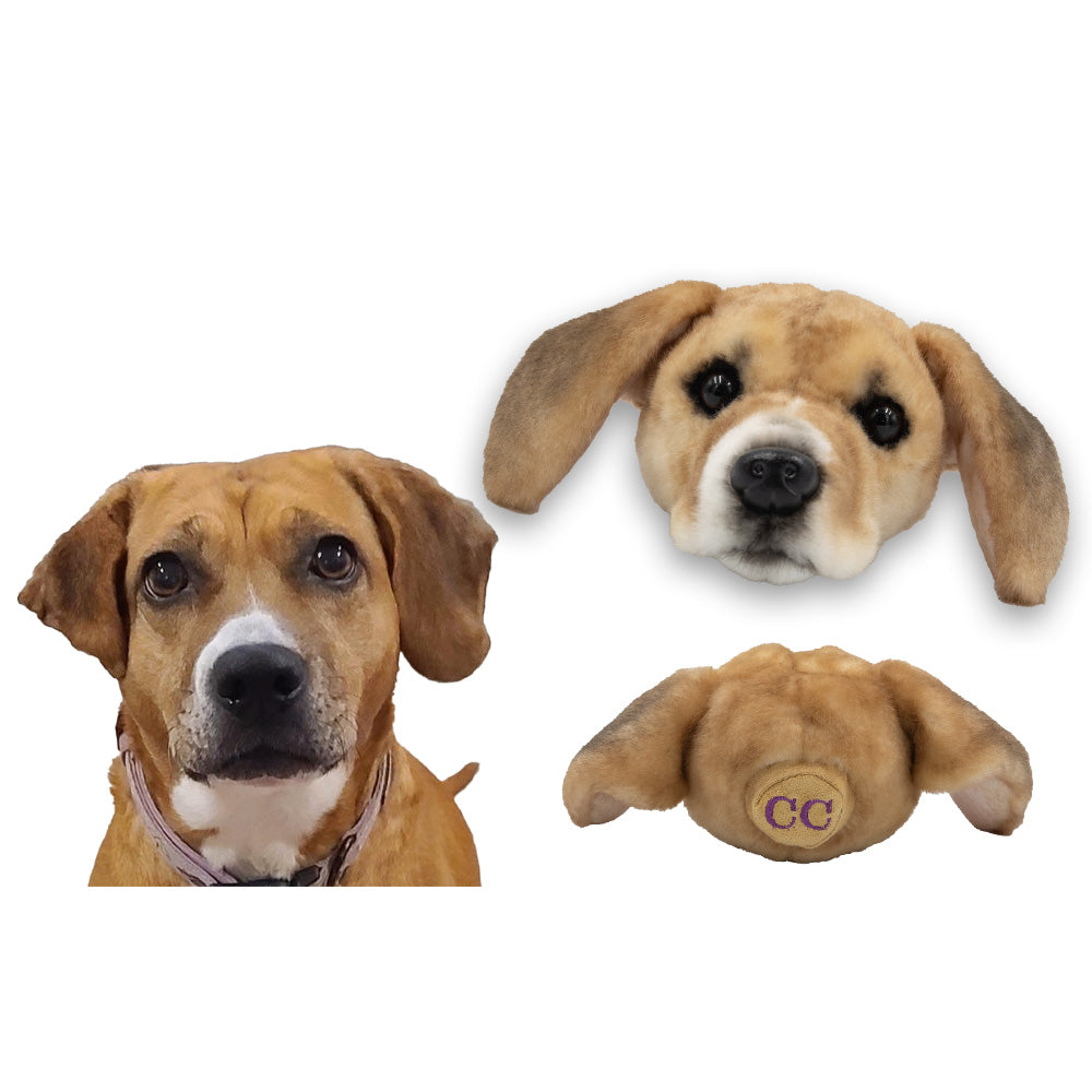 Customized Pet Magnets