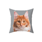 Gray pillow with paws, it features a portrait of a cat. [SlateGrayImageCutOut]