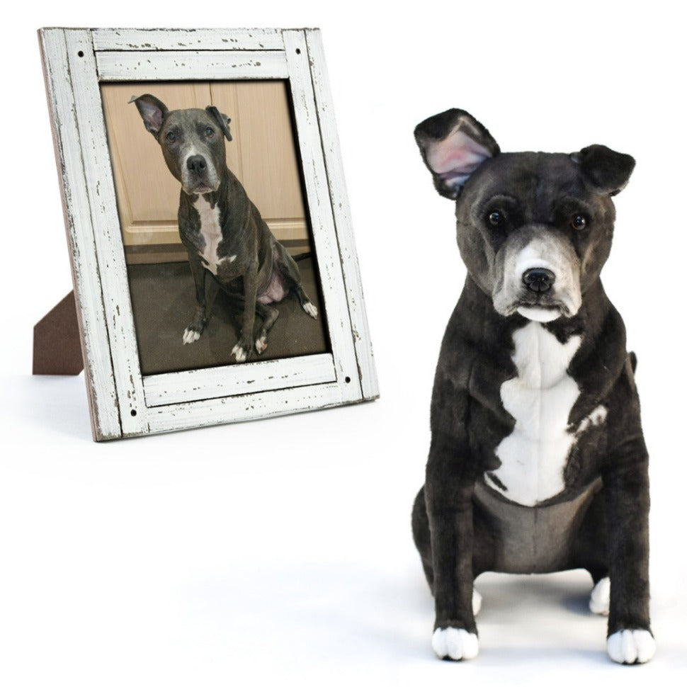 Custom Pet Memorial Products
