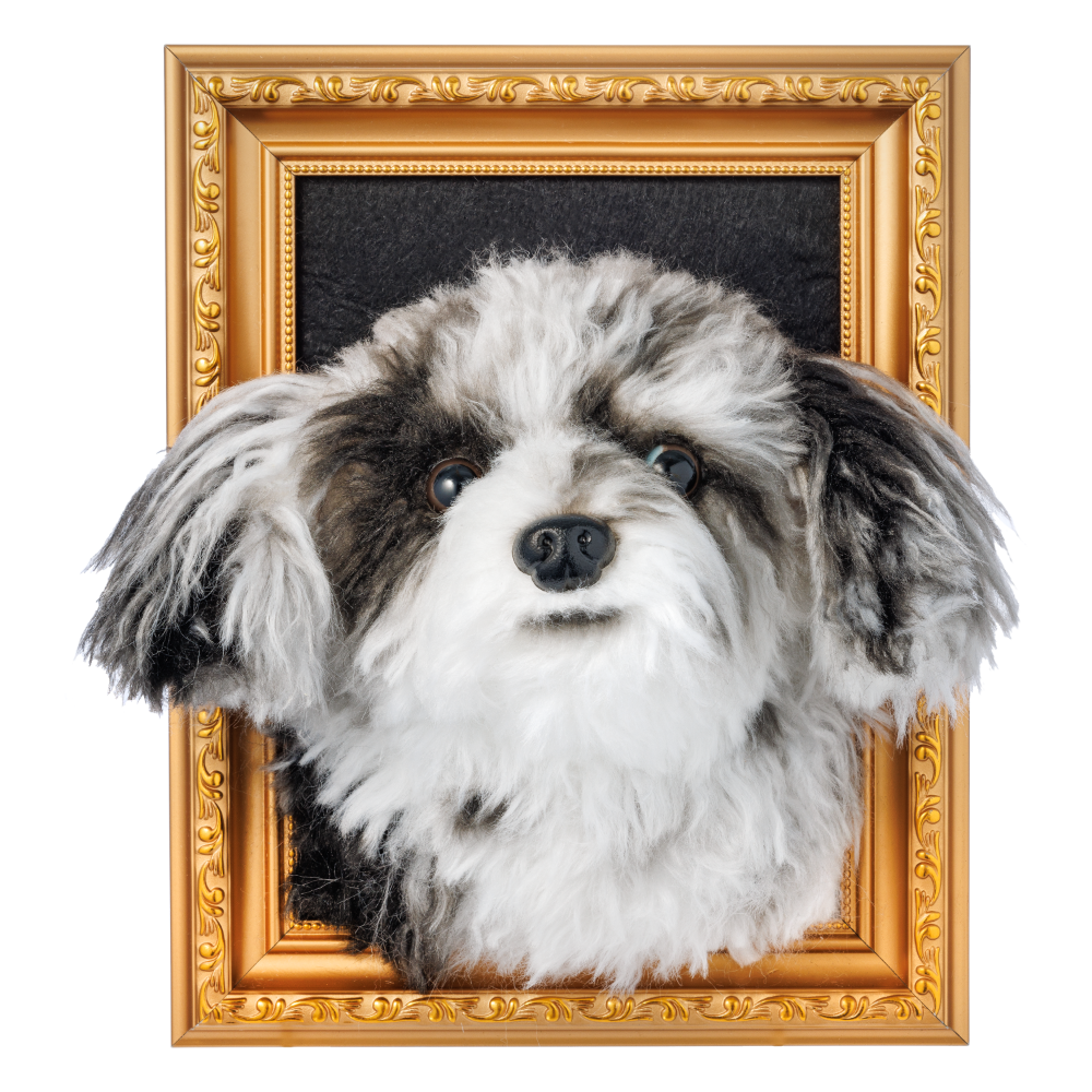 Custom Framed Plush Pet Portrait