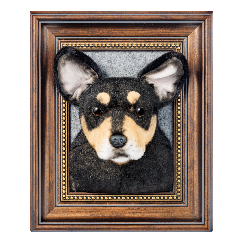 Custom Framed Plush Pet Portrait