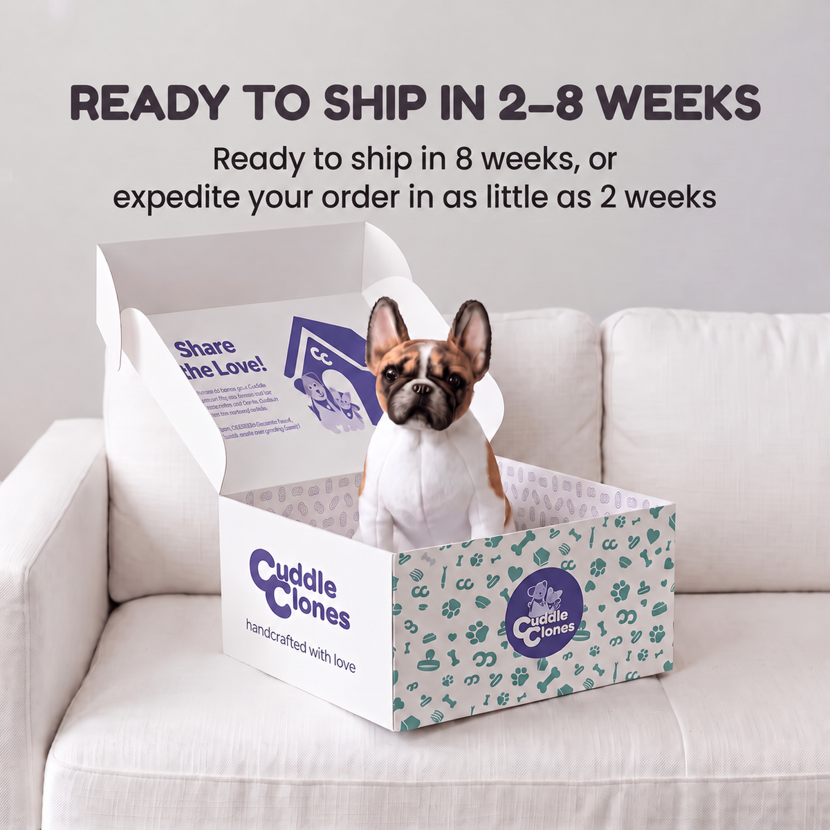 French bulldog plush sitting in an open Cuddle Clones gift box on a white couch