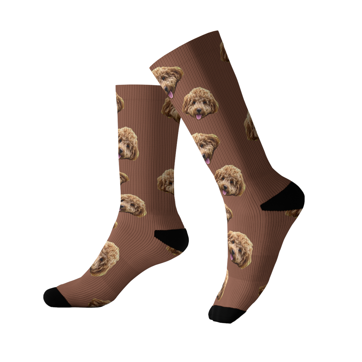 Cocoa