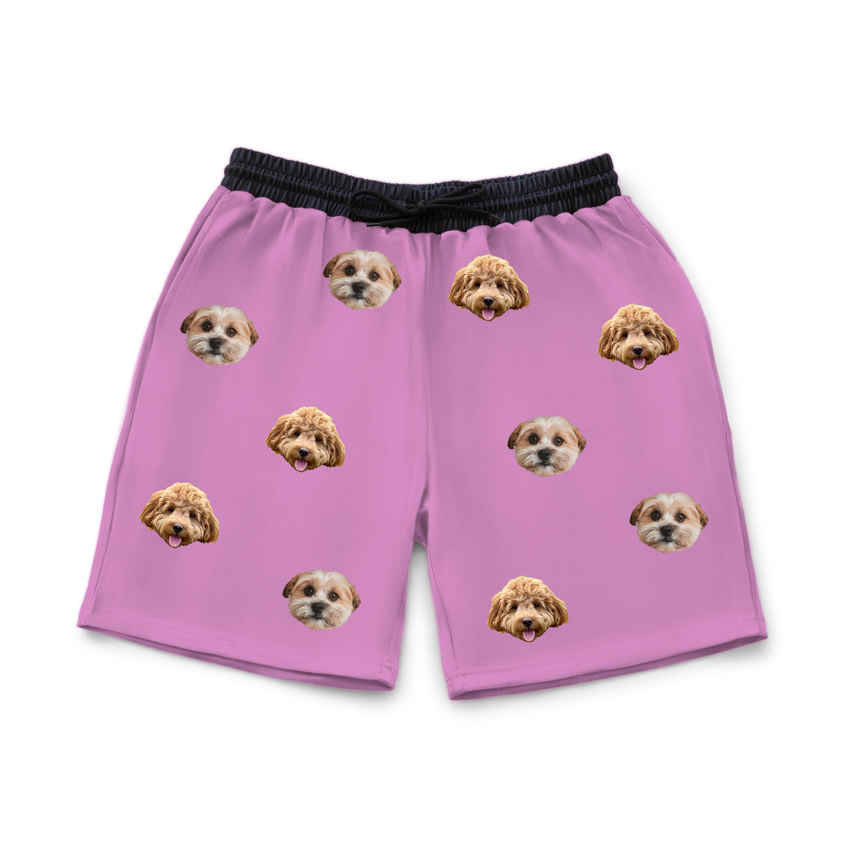 OrchidSweatshorts2Pets