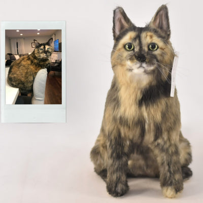 Tortoiseshell cat plush toy new arrivals