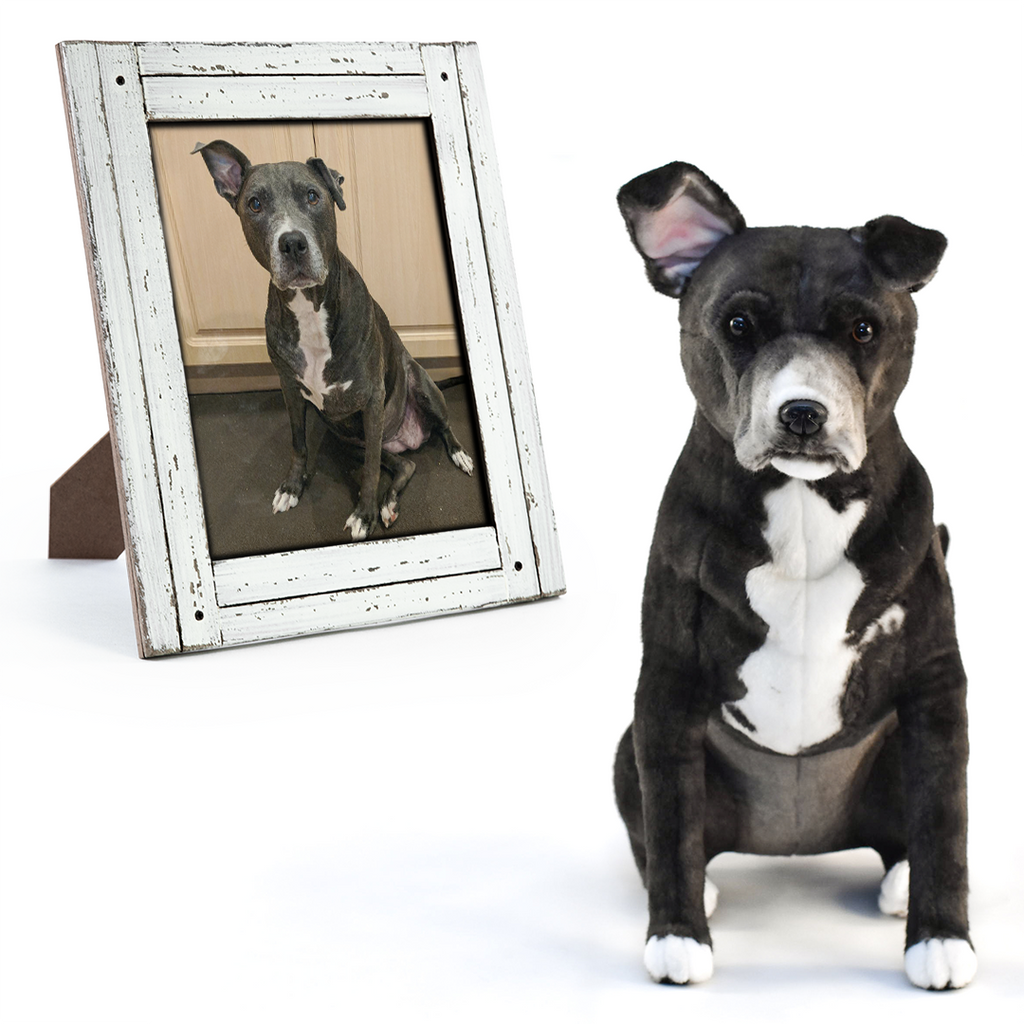 Dog picture frame customized