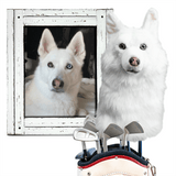 White dog with blue eyes looking out of a wooden frame, next to a real white dog on a suitcase.