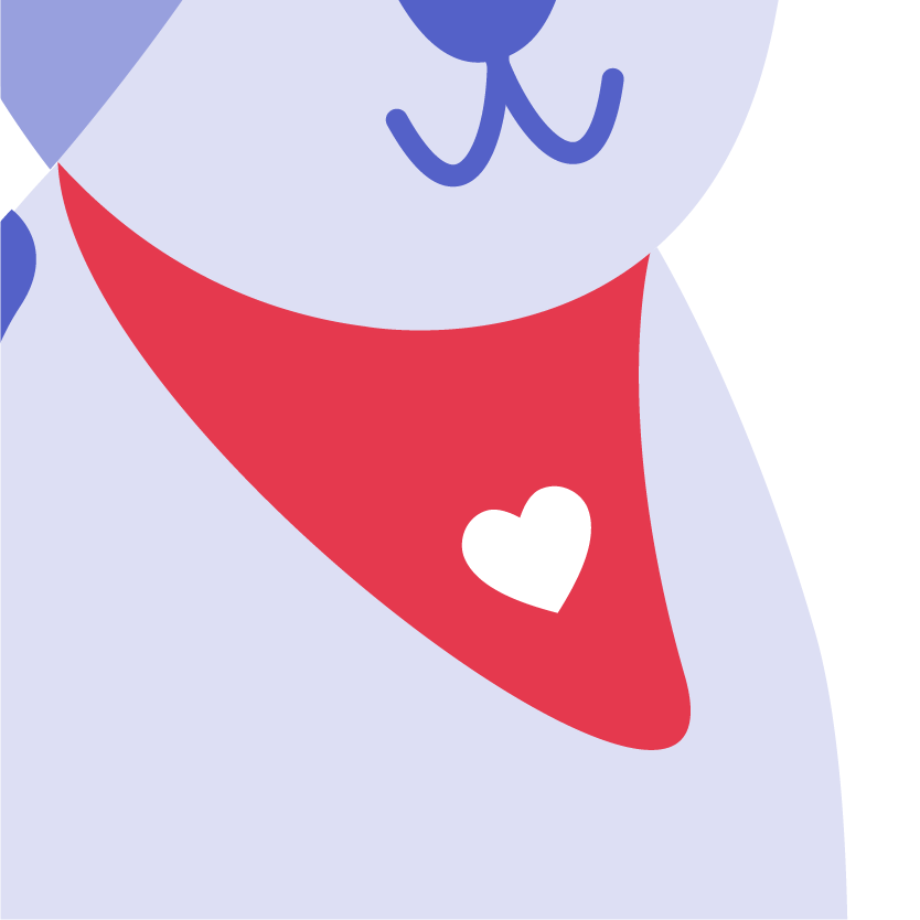 red pet bandana